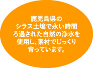 鹿児島県のシラス土壌で長い時間ろ過された自然の浄水を使用し、素材でじっくり育っています。